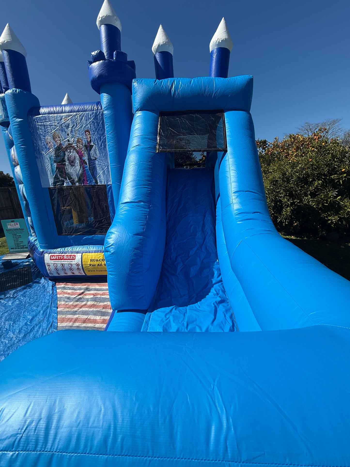 Frozen Bouncy Castle