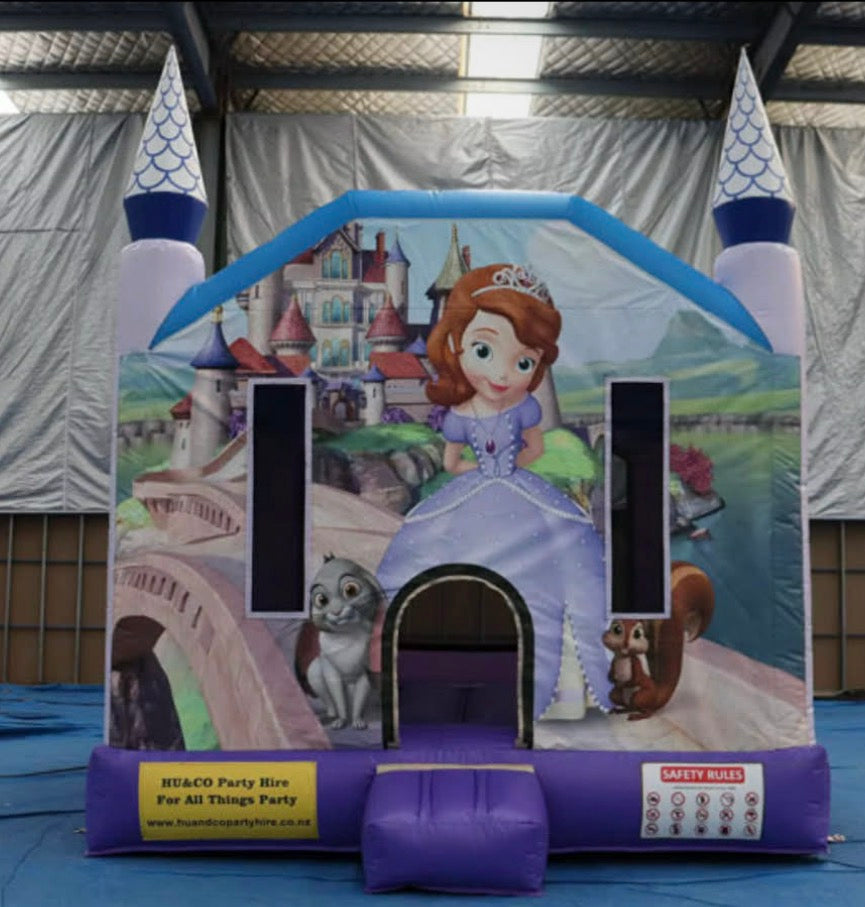 Sold Princess Bouncy Castle