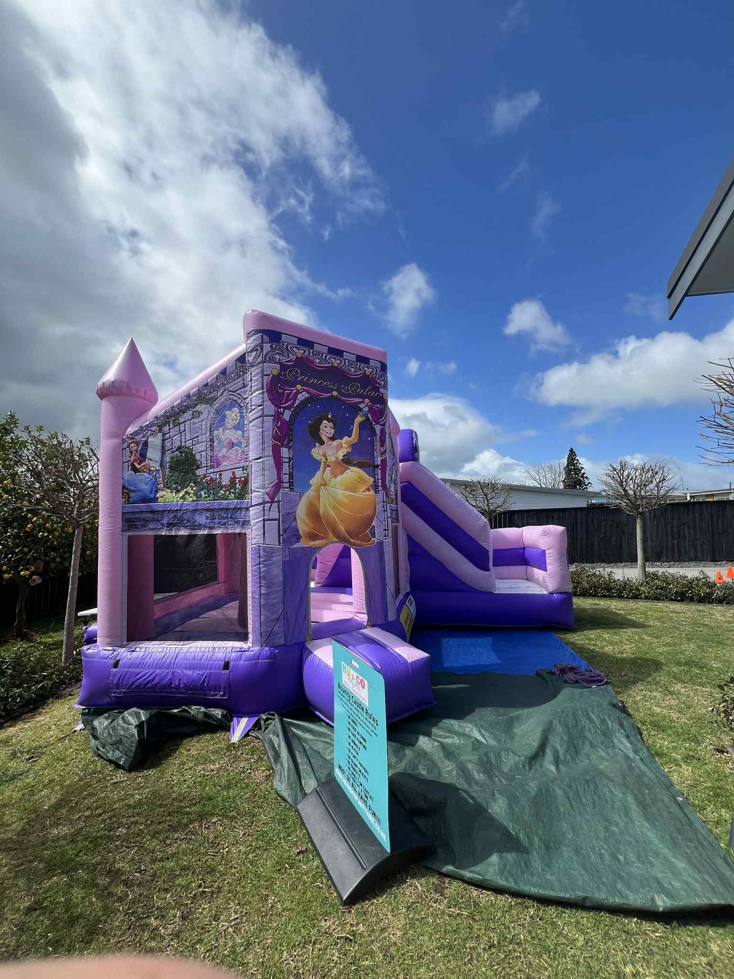 Pink and purple inflatable castle with princess design on a grassy area available for hire