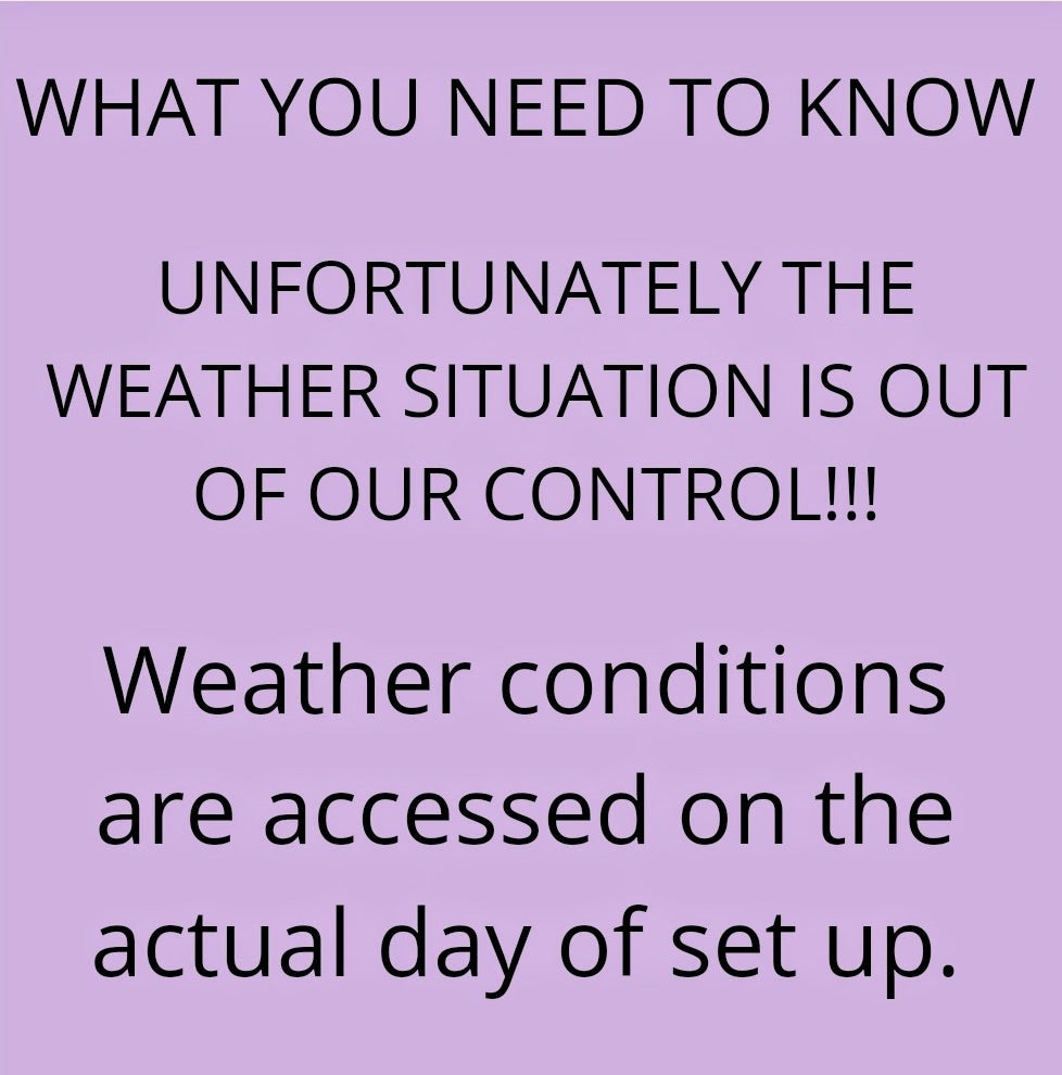 Minion Bouncy Castle