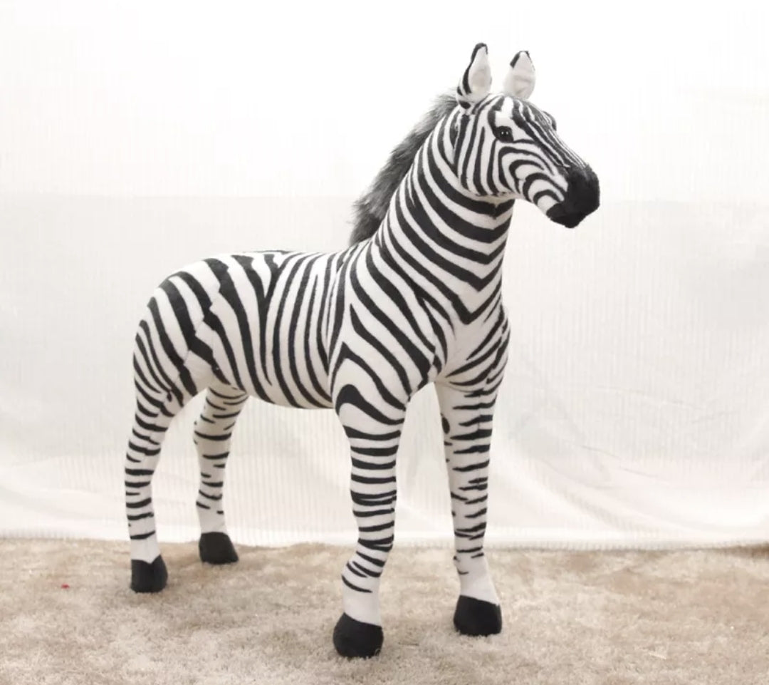 Zebra Animal