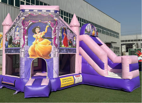 Princess Bouncy Castle