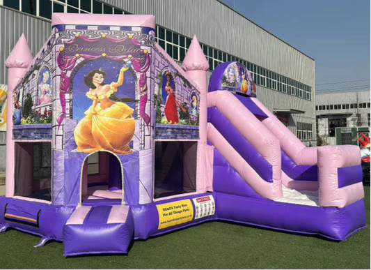 Princess Bouncy Castle