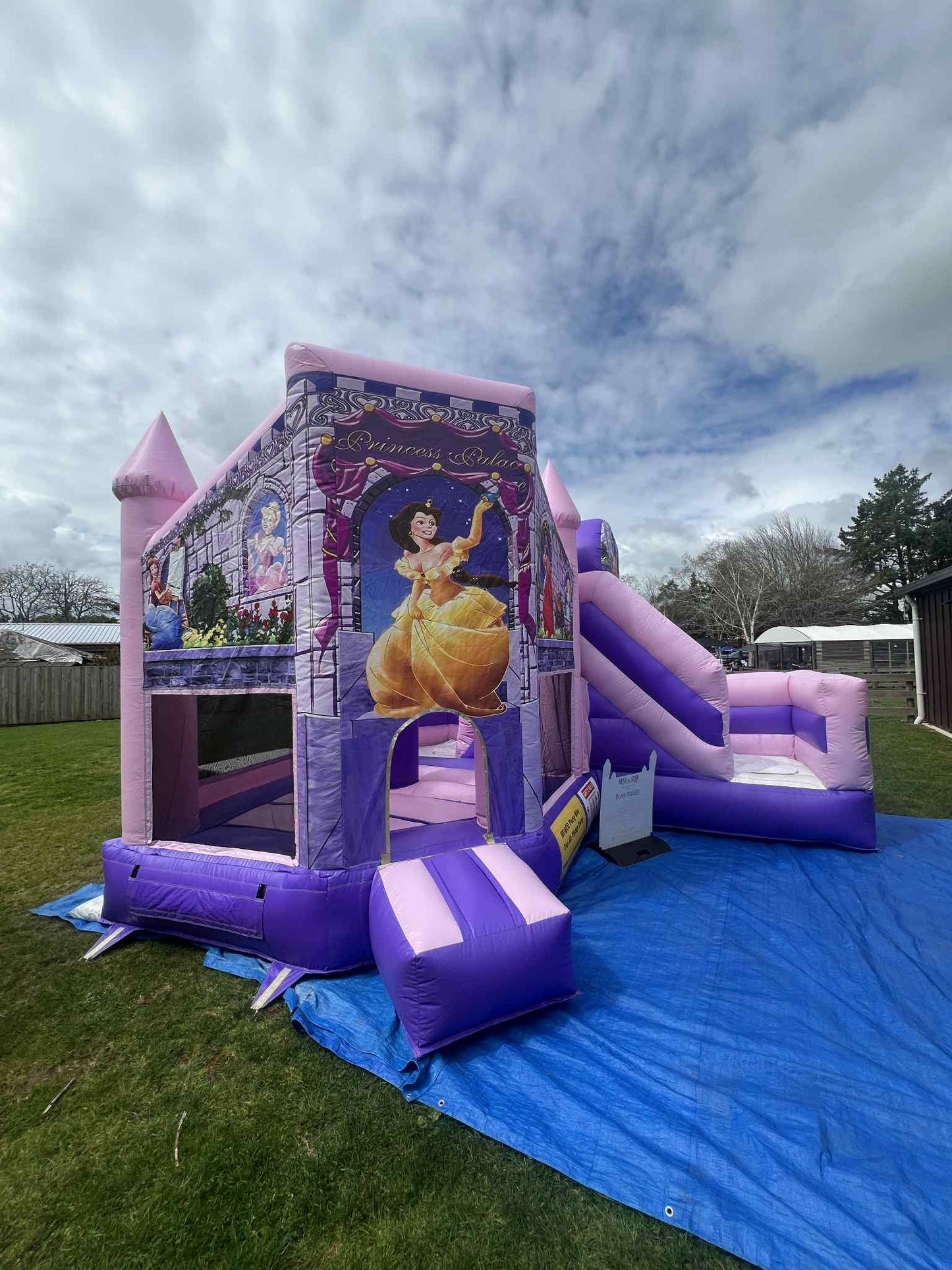 Disney Princess Theme Inflatable Bouncy Castle Children Party Rental Hamilton