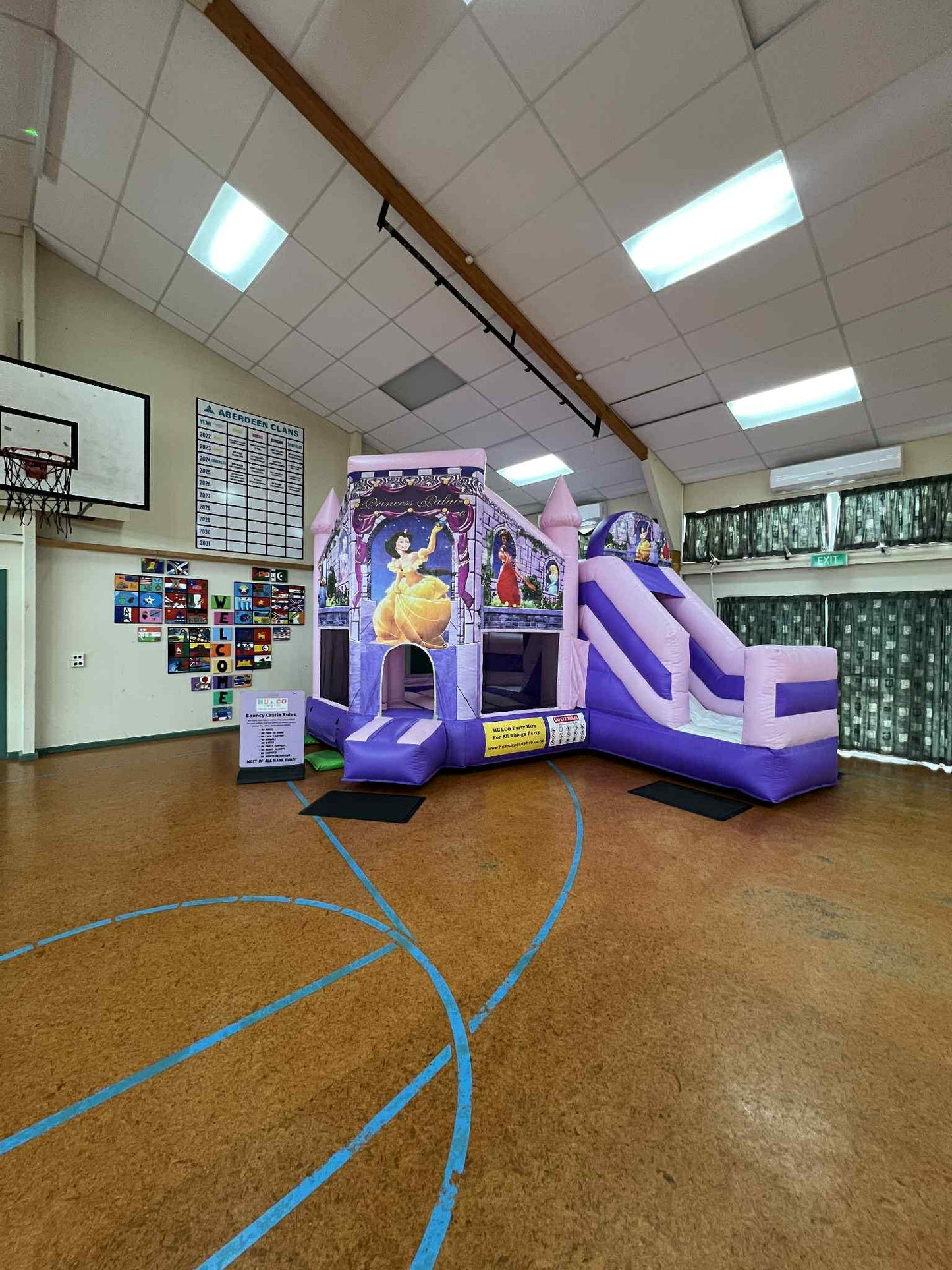 Disney Princess Theme Inflatable Bouncy Castle Children Party Rental Hamilton