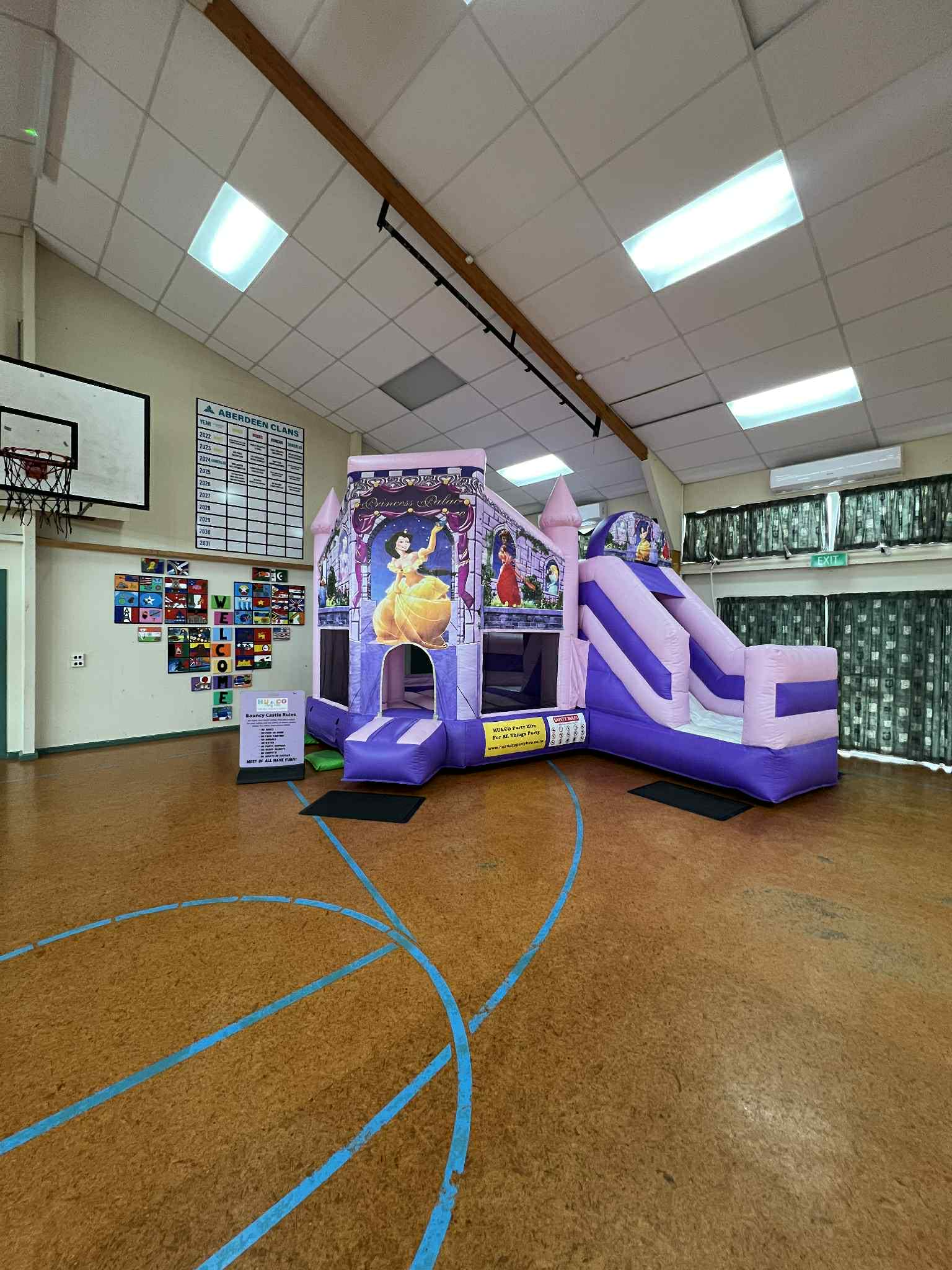 Disney Princess Theme Inflatable Bouncy Castle Children Party Rental Hamilton