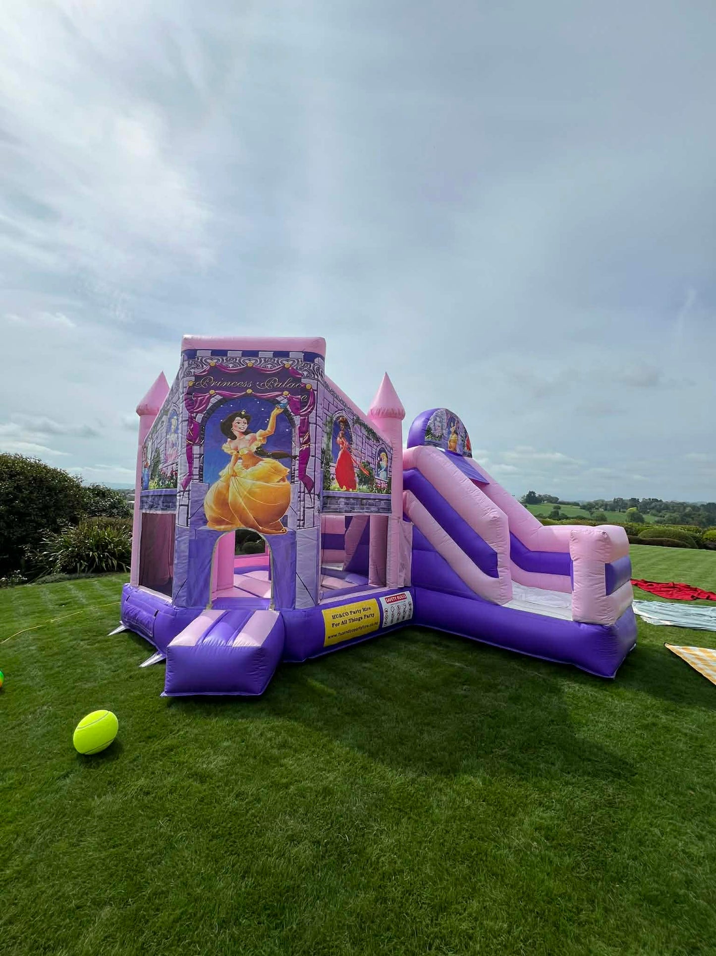 Disney Princess Theme Inflatable Bouncy Castle Children Party Rental Hamilton