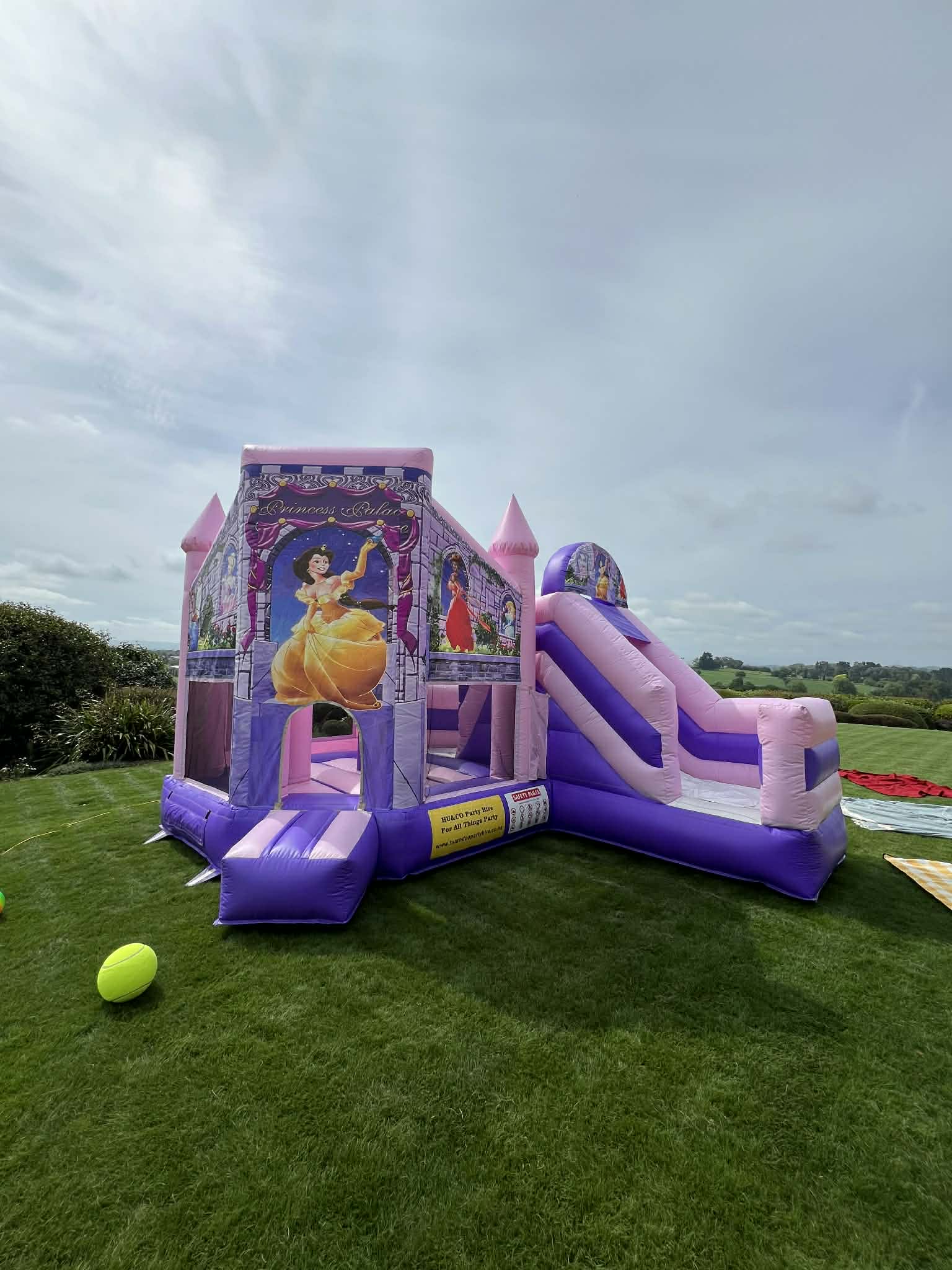 Disney Princess Theme Inflatable Bouncy Castle Children Party Rental Hamilton