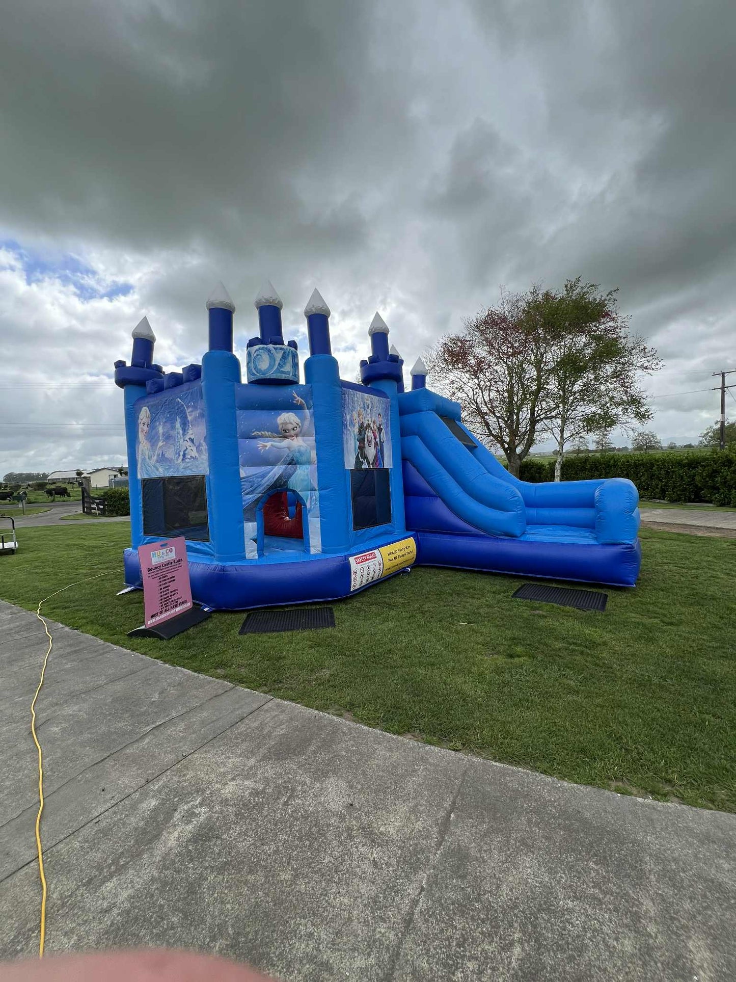 Frozen Theme Inflatable Bouncy Castle Children Party Rental Hamilton