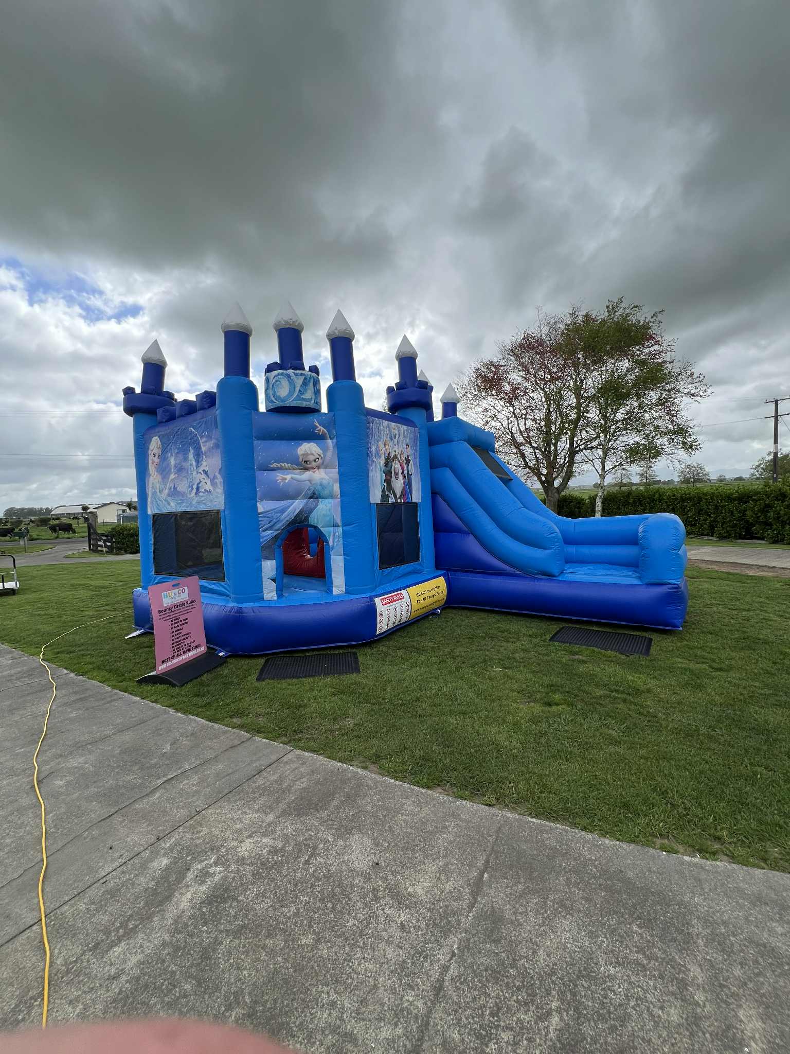 Frozen Theme Inflatable Bouncy Castle Children Party Rental Hamilton